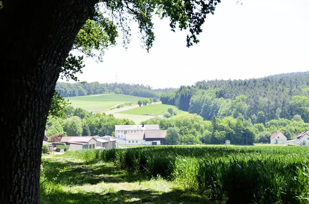 Hotel Gasthof Am Forsthof Edelsfeld Екстер'єр фото