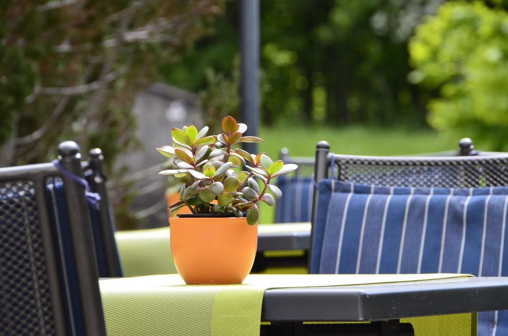 Hotel Gasthof Am Forsthof Edelsfeld Екстер'єр фото